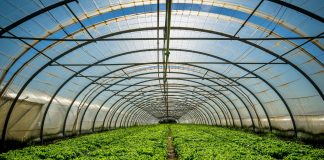 Saudi gov’t approves $24.5bn support for water, agriculture, environment